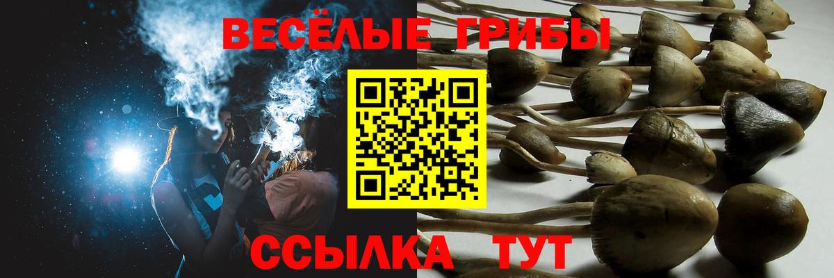 Псилоцибиновые грибы мухоморы  Вход с VPN  Алатырь 